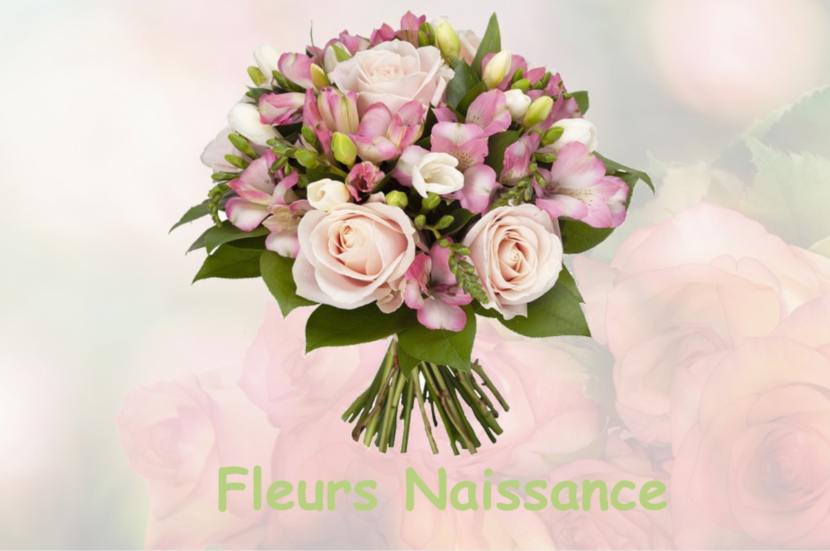 fleurs naissance FLEURY-LA-VALLEE